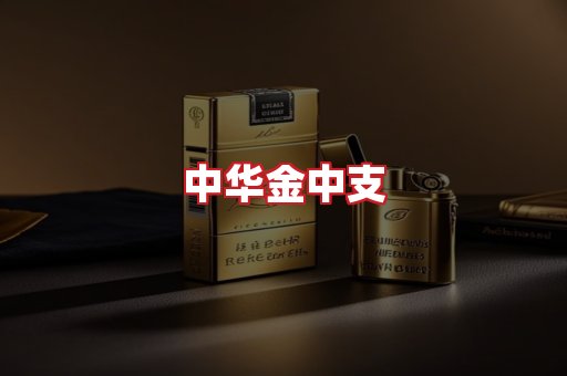 中华金中支